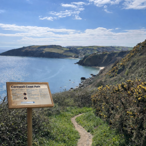 Wood Effect outdoor Lectern