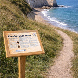 wood effect display lectern